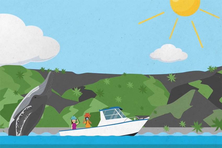 A screenshot from the video showing tourists in a boat and a whale jumping out of the water.
